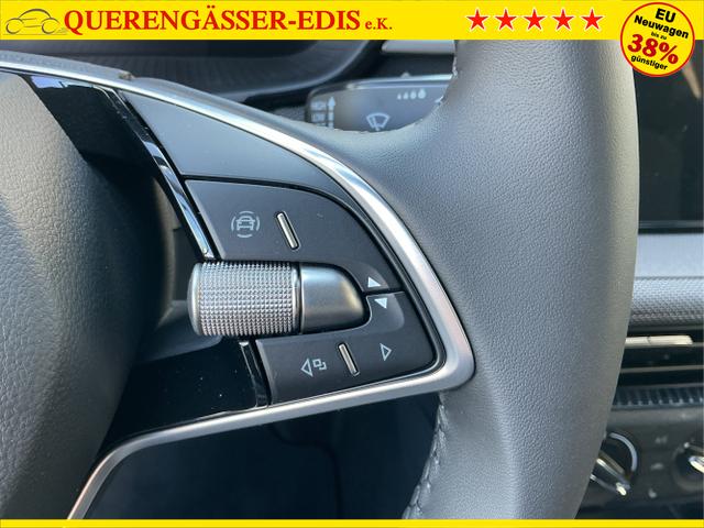 Skoda / Fabia / Schwarz / 130 jahre / Black Magic / , Beispielbilder, ggf. teilweise mit Sonderausstattung