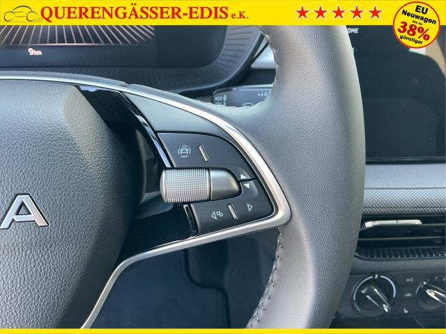 Skoda / Fabia / Grau / 130 Jahre / Graphite Grau / , Beispielbilder, ggf. teilweise mit Sonderausstattung