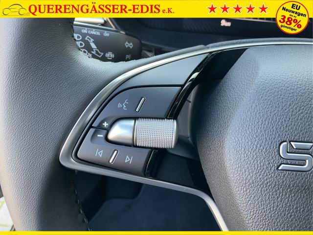 Skoda / Fabia / Grau / 130 Jahre / Graphite Grau / , Beispielbilder, ggf. teilweise mit Sonderausstattung