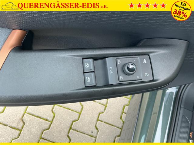 Cupra / Born / Gr&uuml;n / VZ / Dark-Forest Grūn / 