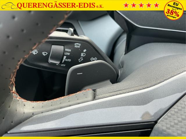 Cupra / Born / Gr&uuml;n / VZ / Dark-Forest Grūn / 