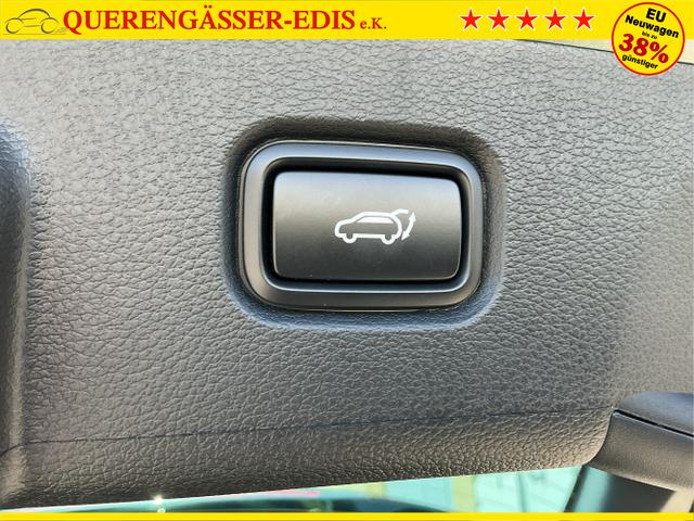 Kia / Sportage / Gr&uuml;n / Gt-Plusline / Experince Green / , Beispielbilder, ggf. teilweise mit Sonderausstattung