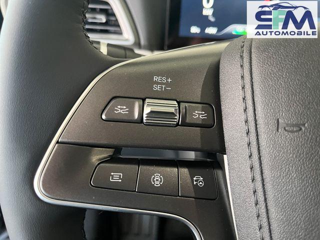 BYD Atto 2 Boost/PANO-DA/ACC/LEDER/360&deg;/SHZ/ 