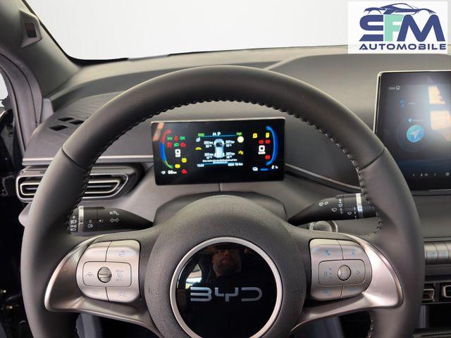 BYD Dolphin SURF Boost /ACC/LEDER/RFK/NAV/ 