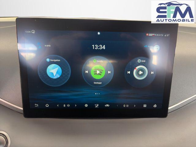 BYD Dolphin SURF Boost /ACC/LEDER/RFK/NAV/ 