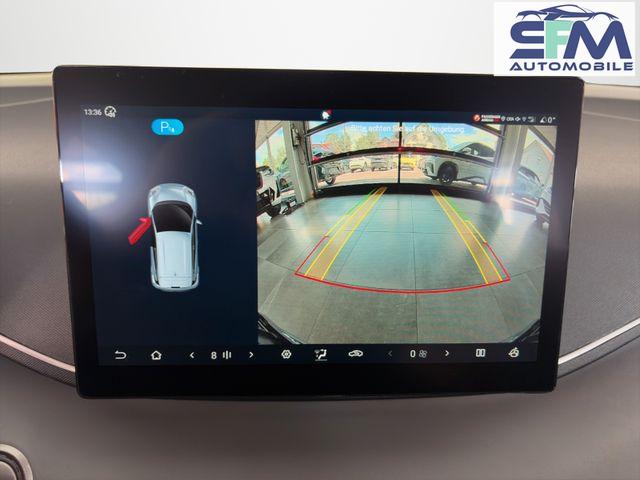 BYD Dolphin SURF Boost /ACC/LEDER/RFK/NAV/ 