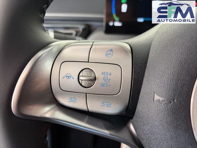 BYD Dolphin SURF Boost /ACC/LEDER/RFK/NAV/ 