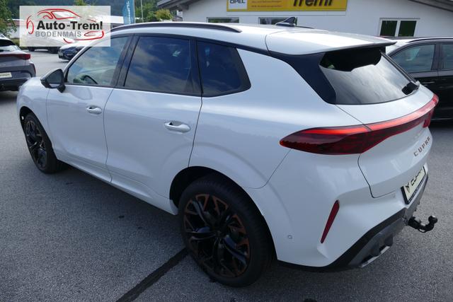 Cupra Terramar 2.0 TSI 204 PS DSG 4Drive Pano AHK Matrix Sennheiser 20"Hadron Kupfer Dinamica Edge, Digital Drive, Intelligent D., Pure Performance Paket Navi Head Up 5JG el. Sitze 