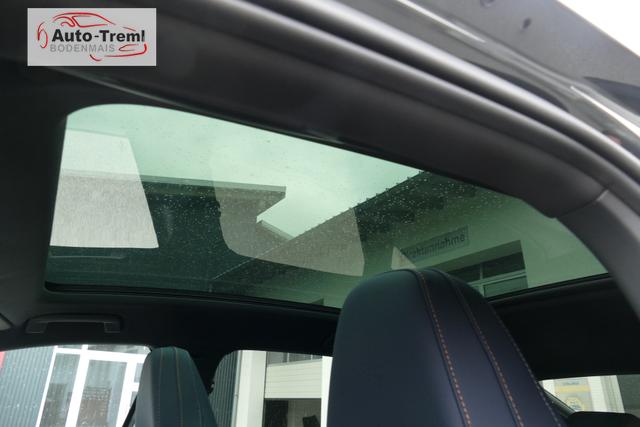 Cupra Tavascan VZ Adrenaline 4Drive 340 PS AHK Winterkompletträder 1.500,- Euro Ladeguthaben Heat Pump Winter-Paket beh.WS 4xSHZ 