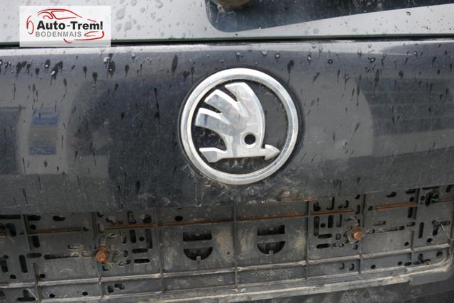 Skoda Octavia Combi Scout 2.0 TDI 4x4 Allrad AHK NAVI Kamera PCD vo+hi Bi-Xenon Alcantara/Leder 