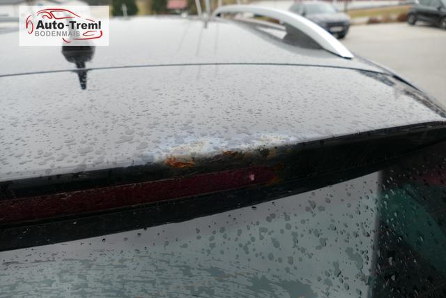 Skoda Octavia Combi Scout 2.0 TDI 4x4 Allrad AHK NAVI Kamera PCD vo+hi Bi-Xenon Alcantara/Leder 