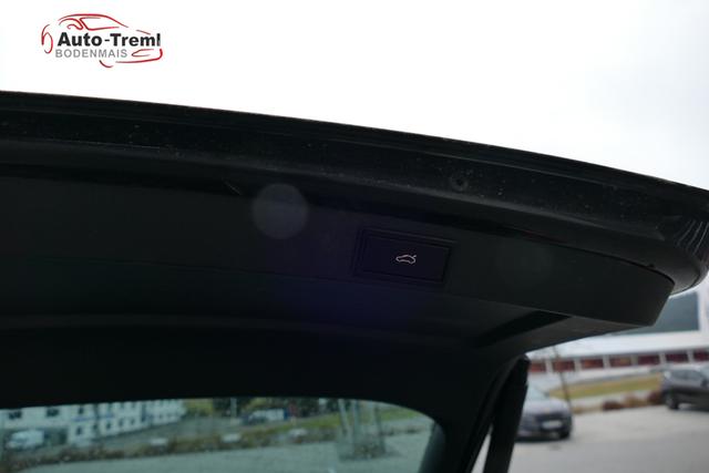 Skoda Octavia Combi Scout 2.0 TDI 4x4 Allrad AHK NAVI Kamera PCD vo+hi Bi-Xenon Alcantara/Leder 