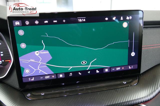 Skoda Octavia Combi RS 2.0 TSI DSG 265 PS Head Up Parklenk Navi SHZ 5JG DCC 19" AHK-Vorbereitung Dopp. Ladeboden Side Assist 