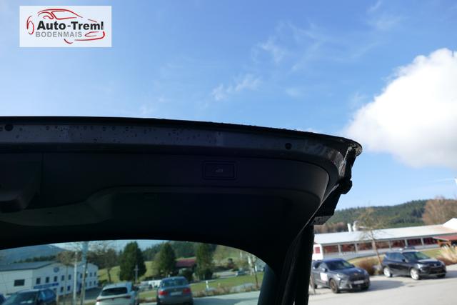 Skoda Kamiq Dynamic 1.0 TSI DSG 116 PS beh.WS SHZ LHZ Virtual Pedal el.H. Kamera AHK-Vorb. 5JG 17"ALU Fahrprofilauswahl SCC Digital Cockpit 