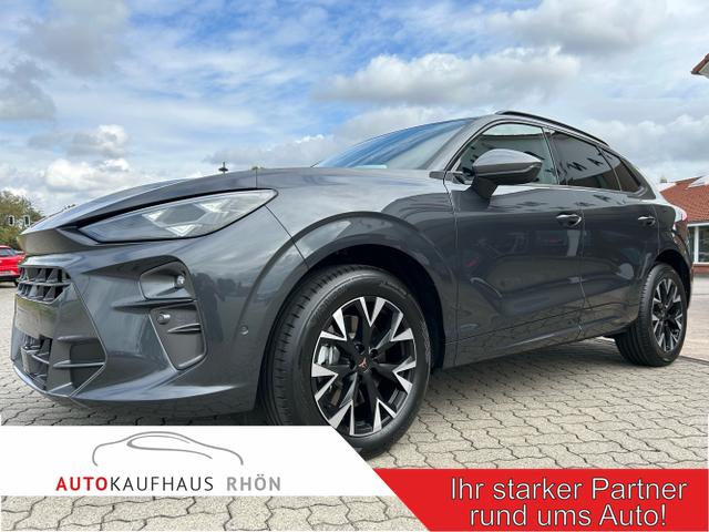 Cupra Terramar - 2.0 TSI DSG 4Drive / Standheizung AHK