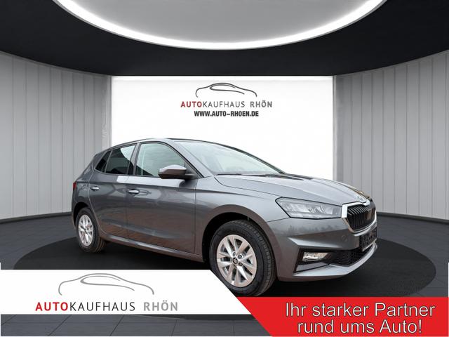 Skoda Fabia - Extra Plus 1.0 TSI DSG, RFK, SHZ, Klima