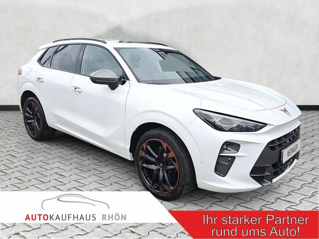 Cupra Terramar - 2.0 TSI 195 kW 4Drive VZ DSG AHK Leder Standh.