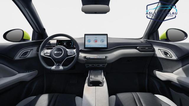BYD Dolphin Surf Active Bis zu 6000&euro; E-Auto F&ouml;rderun 