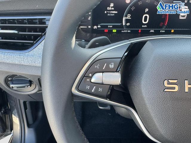 Reimport Skoda Kamiq DSG kaufen