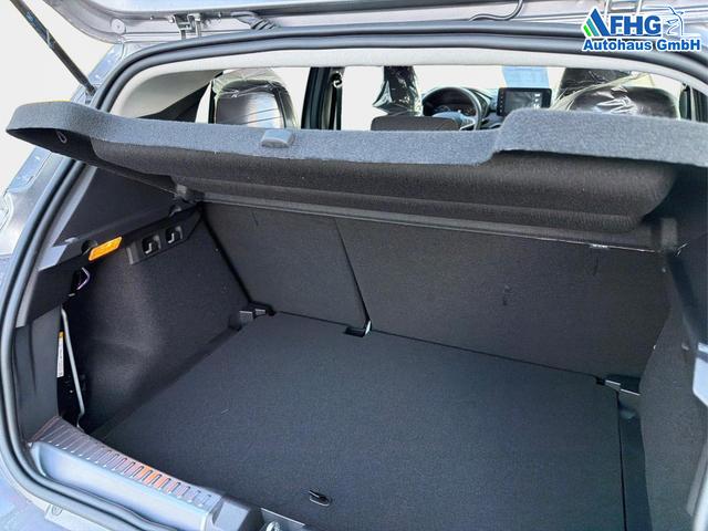 Dacia / Sandero / Grau / / / Sandero III 1.0 TCe 110 Stepway Extreme