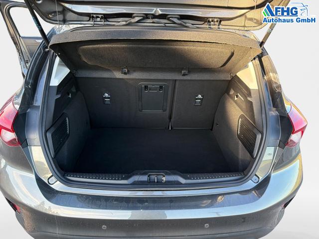 Ford / Focus / Grau / / / Focus 1.0 EcoBoost Mild-Hybrid Cool&Connect S/S (E