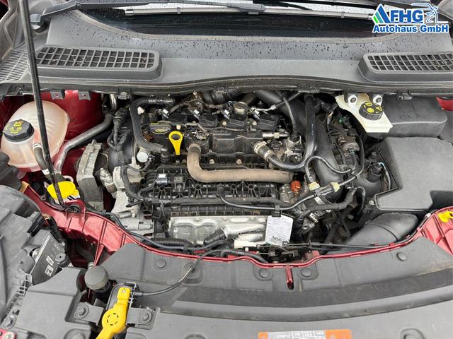 Ford / Kuga / Rot / / / Kuga 1.5 EcoBoost ST-Line 4x2 Start/Stopp OPF