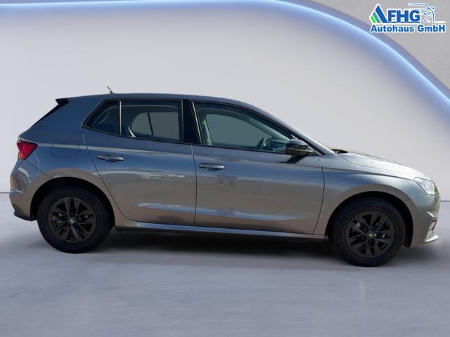 Skoda / Fabia / Grau / / / Fabia 1.0 TSI Selection OPF