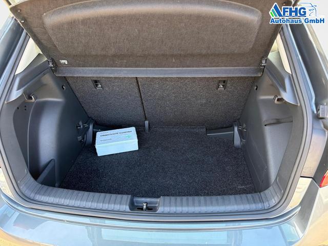Skoda / Fabia / Grau / / / Fabia 1.0 TSI Selection OPF