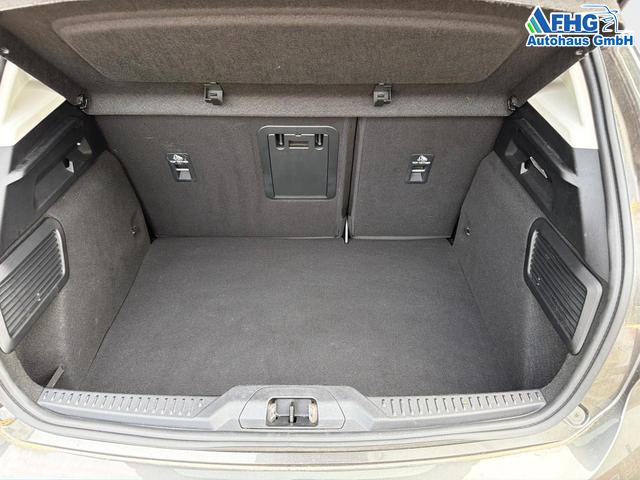Ford / Focus / Grau / / / Focus 1.0 EcoBoost Mild-Hybrid Cool&Connect S/S (E