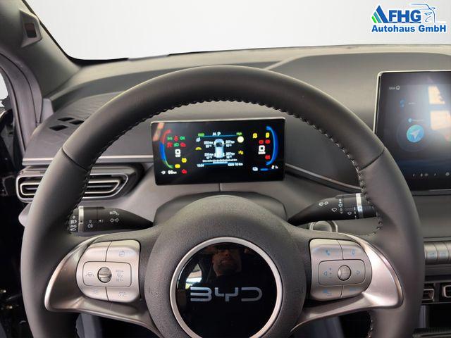 BYD Dolphin Surf Boost /ACC/LEDER/RFK/NAV/ 