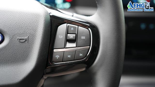 Ford Transit VAN Worker Custom L1H1 mtl. ab 249&euro;* 