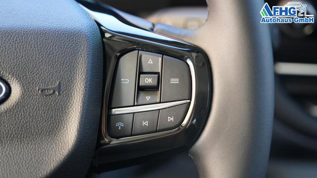 Ford Tourneo Custom Titanium L2H1 2.0TDCi AT8+AHK+Winterpaket LED+Anh&auml;ngerkupplung+B&O 