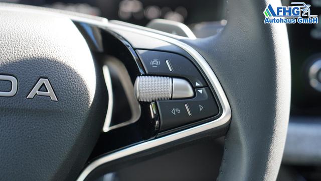 Skoda Scala Selection 1.5TSI DSG>BlackPaket>LED>Sitzheizung 
