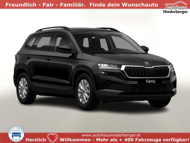 Skoda Karoq - Selection DSG Selec AHK Kessy Kam SHZ SunS 4J/120k