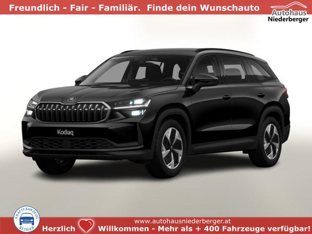 Skoda Kodiaq - Selection Selec AHK Matrix Nav Kessy ACC SunS SHZ