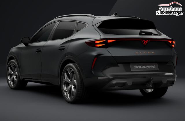 Cupra Formentor eTSI DSG Matt AHK SHZ ACC 3ZClim DigC 