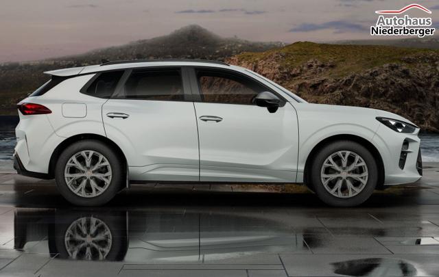 Cupra Terramar DSG IntelliD Dinamica Edge 360&deg; eHk ACC 