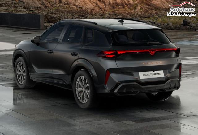 Cupra Terramar DSG IntelliD Dinamica Edge 360&deg; eHk ACC 