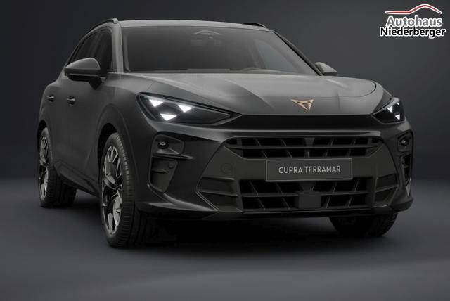 Cupra Terramar VZ 4D Matrix Nav AHK Sennh. 20Z eHk 