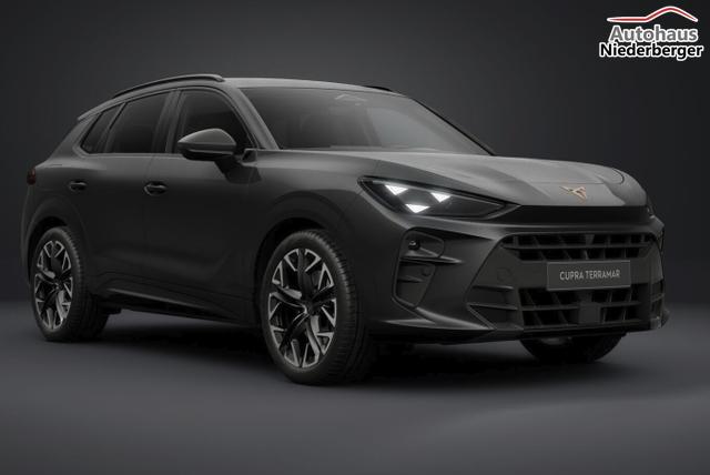 Cupra Terramar VZ 4D Matrix Nav AHK Sennh. 20Z eHk 