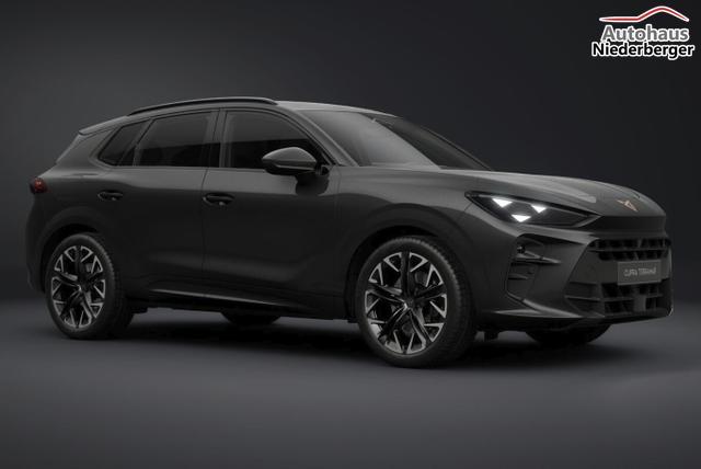 Cupra Terramar VZ 4D Matrix Nav AHK Sennh. 20Z eHk 