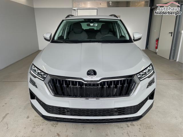 Skoda / Karoq / Grau / / / 150PS DSG AHK+Kamera+ACC+Kessy+Kamera+ParkPilot vo+hi+App