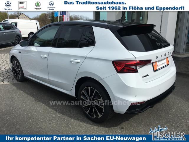 Skoda Fabia 1.0 TSI DSG Monte Carlo 5J*Garantie 17Zoll 