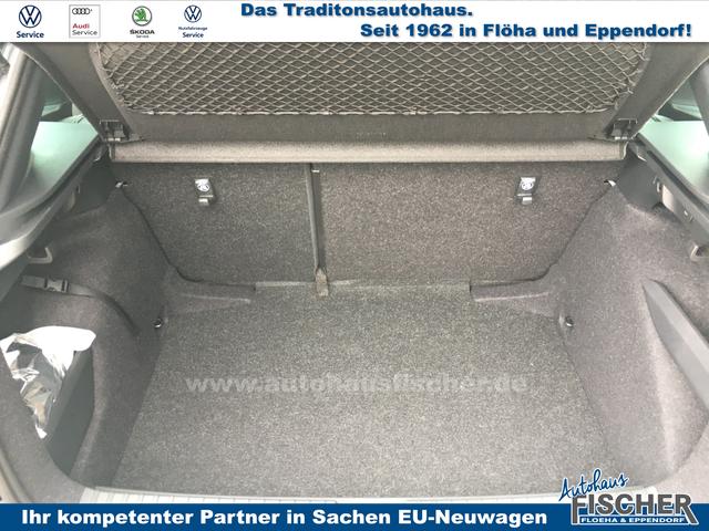 Skoda Kamiq 1.0 TSI DSG Monte Carlo PANO LED Garantie 