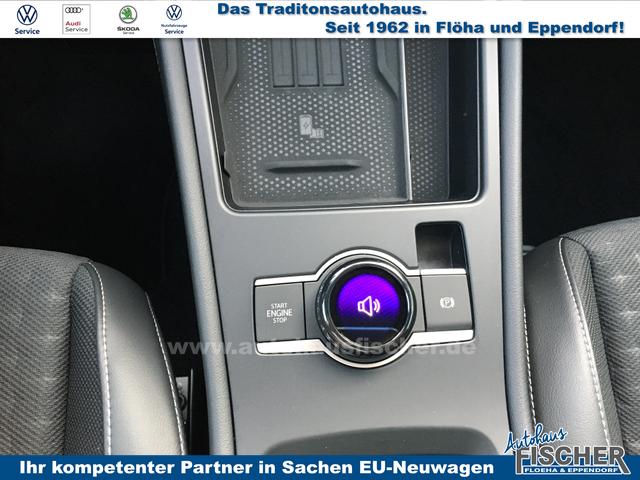 Volkswagen T-Roc 1.5 eTSI DSG R-Line Black-Style Matrix AHK HUD Sound 
