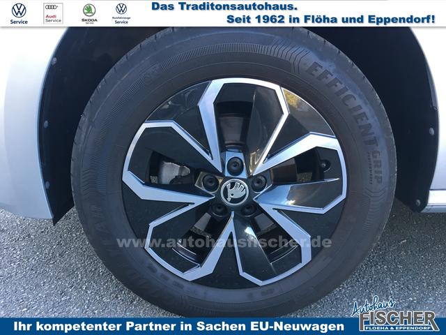 Skoda Kamiq 1.0 TSI Ambition AHK Alu PDC v+h 