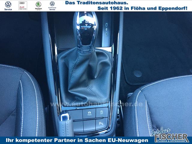 Skoda Kamiq 1.0 TSI DSG Monte Carlo AHK behWSS RFK Ass.Paket Plus 