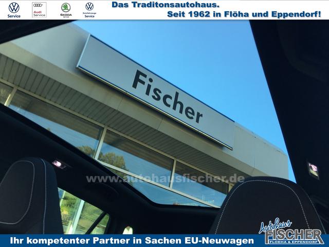 Skoda Kamiq 1.0 TSI DSG Monte Carlo AHK behWSS RFK Ass.Paket Plus 