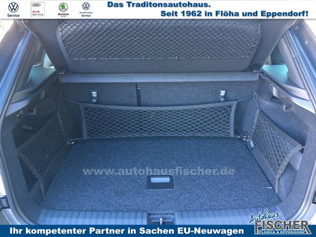 Skoda Kamiq 1.0 TSI DSG Monte Carlo AHK behWSS RFK Ass.Paket Plus 
