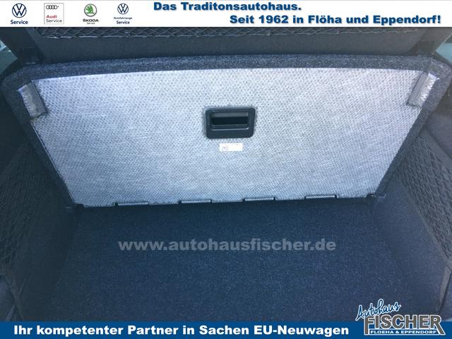 Skoda Kamiq 1.0 TSI DSG Monte Carlo AHK behWSS RFK Ass.Paket Plus 